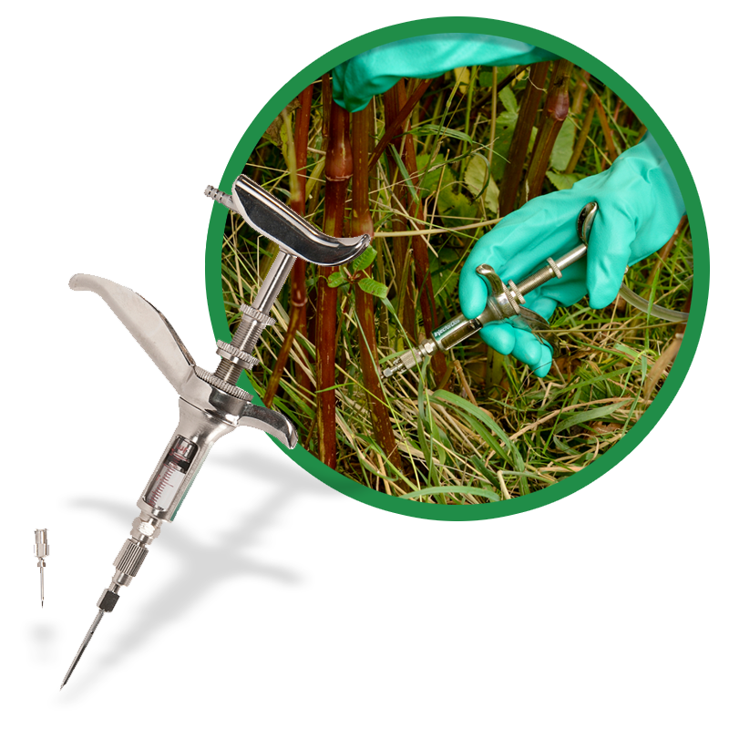 stem-injection