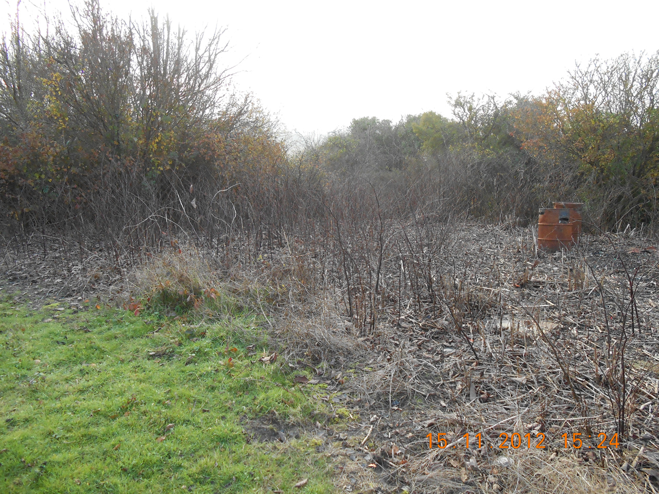 Herbicide Treatment P5 Herbicide Treatment