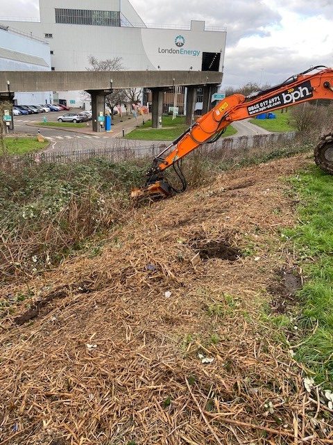 P6 Scrub/Vegetation clearance
